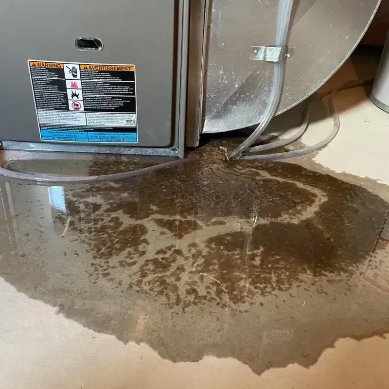 Appliance Leak Cleanup in Century, FL